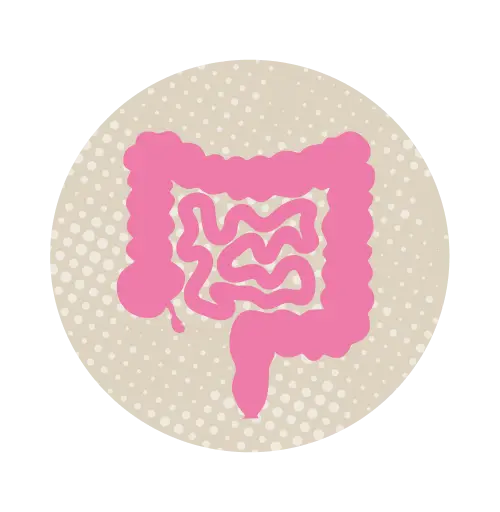 short bowel syndrom illustraion